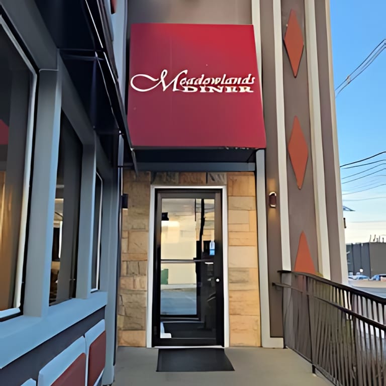 Welcome to Meadowlands Diner